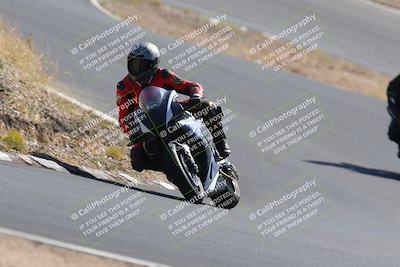 media/Nov-03-2023-2WTD (Fri) [[efa4da844c]]/B Group/1220pm (Turn 4a)/